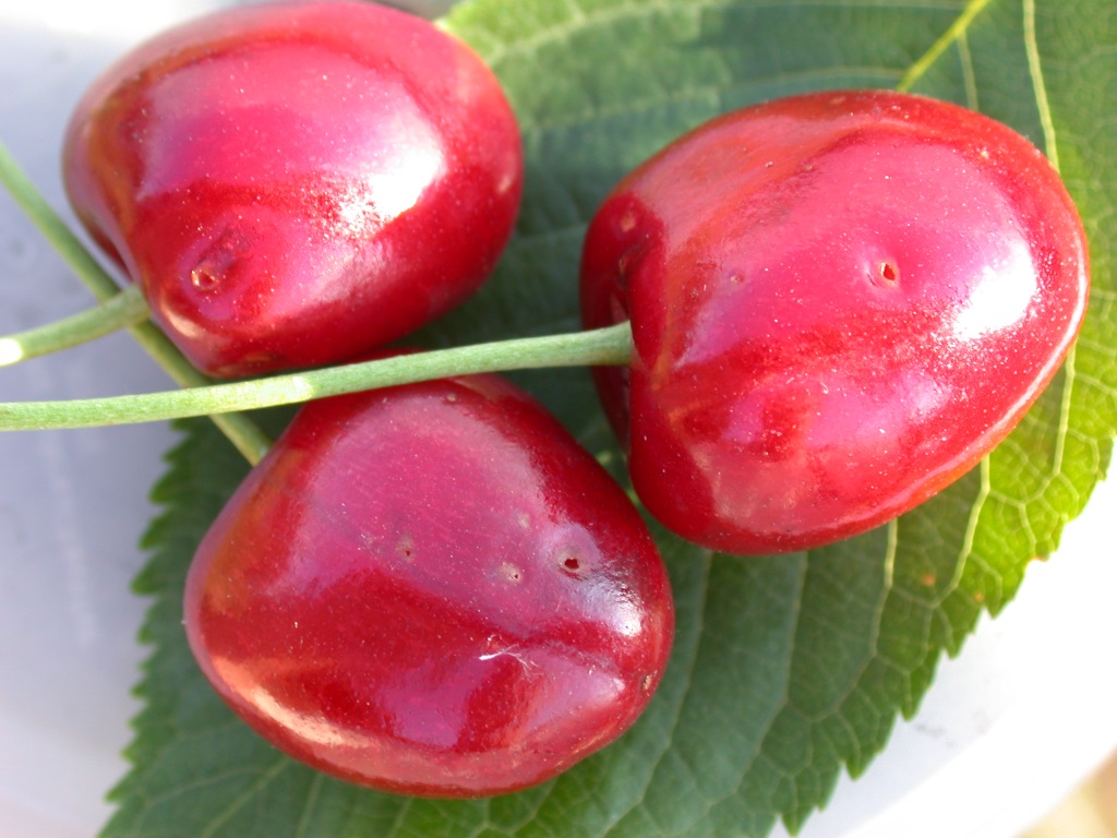 Kirschfruchtfl AusbohrungMU.JPG